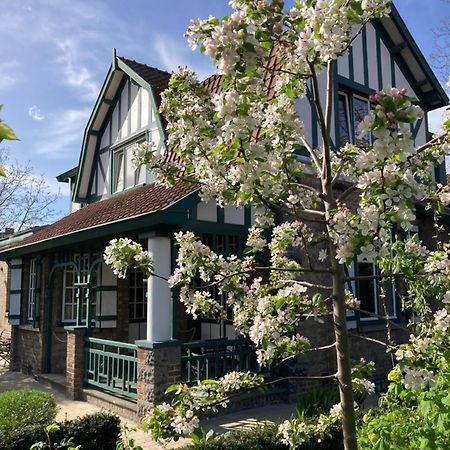 Bed and Breakfast Tree & B Brujas Exterior foto